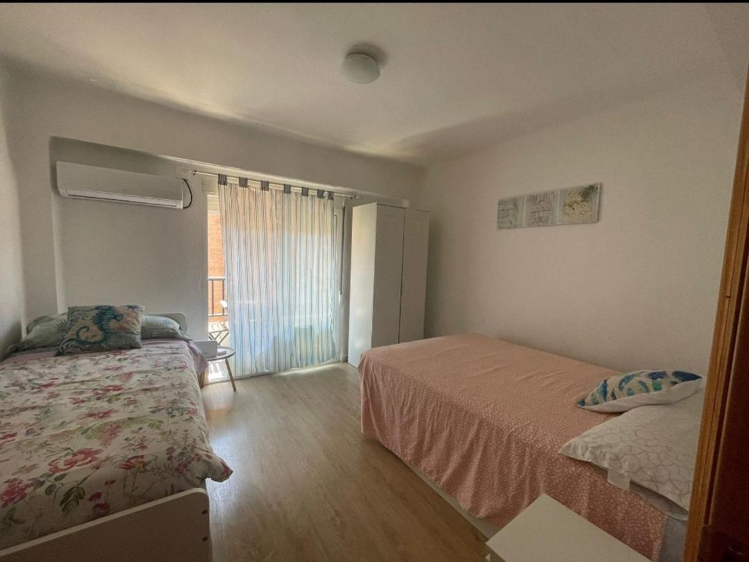 Apartament Arts And Sciens Museum/beach